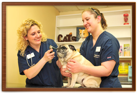 columbus, oh veterinary care